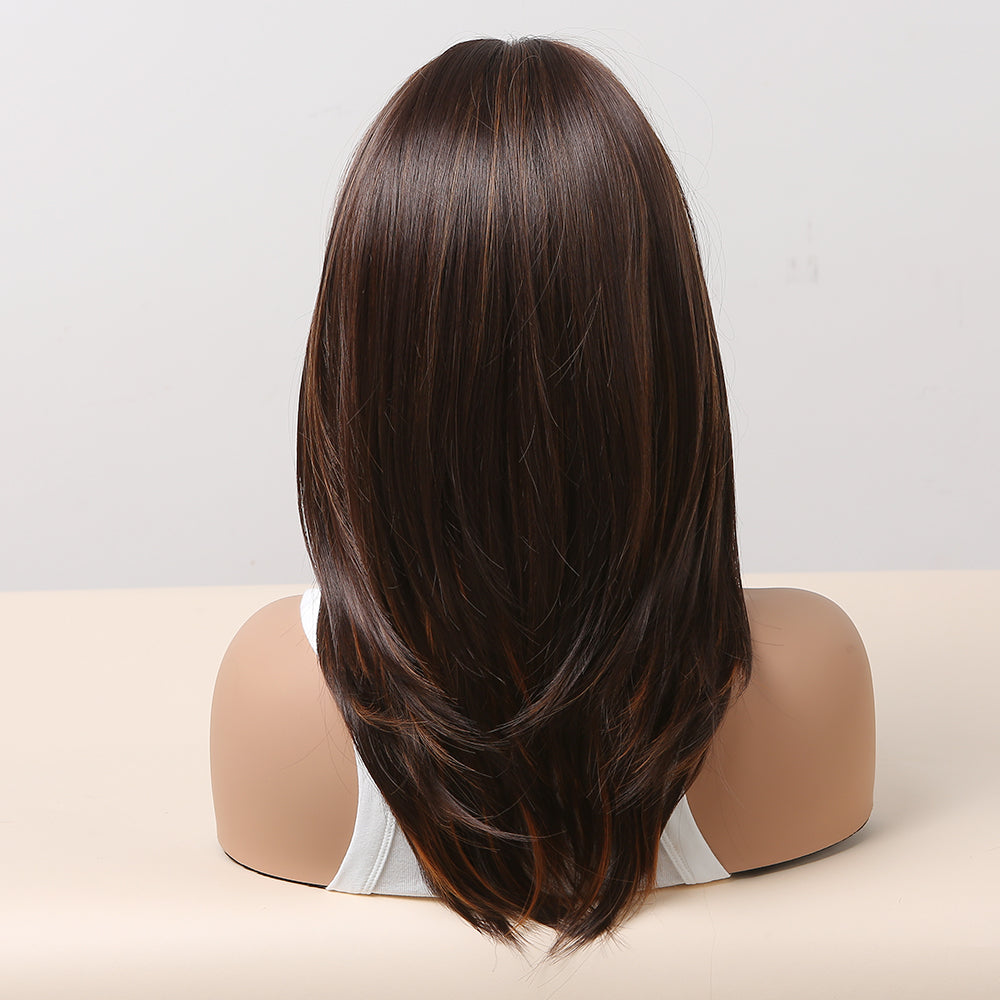 long Brown Wigs for Women, Synthetic Wig with Bangs Layered Hair with Highlight LC483-1